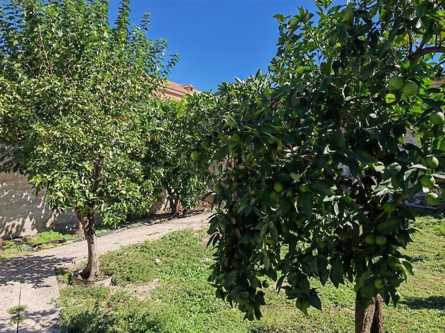 Teralba 1 Casa Rural Calzada de Oropesa Екстериор снимка